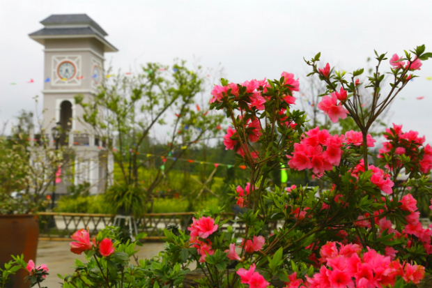 Những mùa hoa Việt Nam