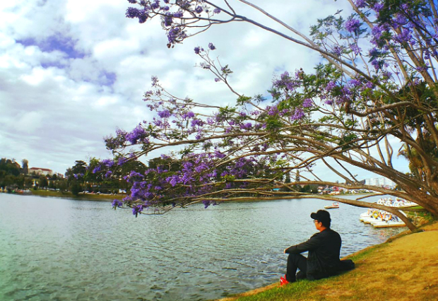 Những mùa hoa Việt Nam