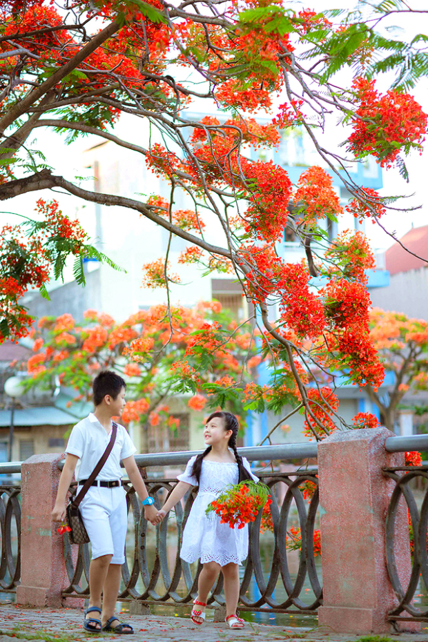 Những mùa hoa Việt Nam