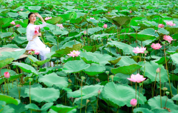 Những mùa hoa Việt Nam