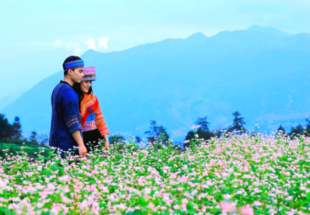 Những mùa hoa Việt Nam
