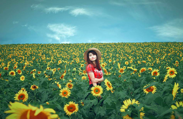 Những mùa hoa Việt Nam