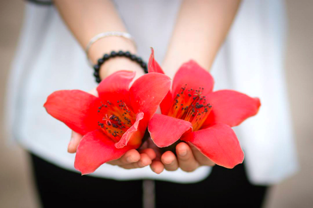 Những mùa hoa Việt Nam