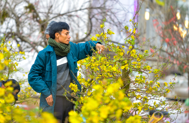 Những mùa hoa Việt Nam