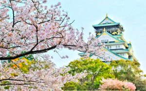 Tour du lịch Nhật Bản Tháng 5 mùa hoa anh đào 5N4Đ giá tốt nhất