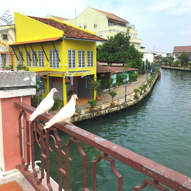 Omni Hostel Malacca - Du lịch Malaysia