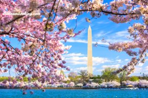 Tour du lịch Mỹ 8N7Đ: Chiêm ngưỡng vẻ đẹp Washington D.C | Khám phá New York – Philadelphia