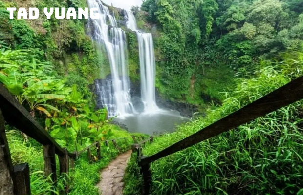 Tour du lịch Lào 4 ngày 3 đêm | Chiêm ngưỡng vẻ đẹp Kratie – Stungtreng – Pakse – Cao Nguyên Boloven