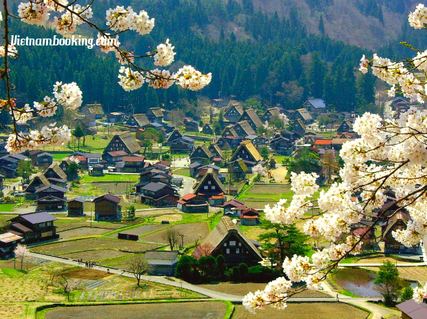 Tour du lịch Nhật Bản 5N4Đ | Hành trình Phú Sĩ – Tateyama – Tokyo – làng cổ Shirakawa
