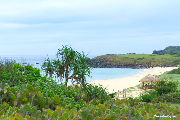 kinh nghiệm du lịch Phú Yên
