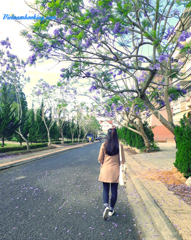 lịch trình tham quan đà lạt