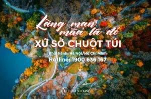 Tour du lịch Úc 5 ngày 4 đêm: Khám phá thành phố Sydney | Canberra mùa thu