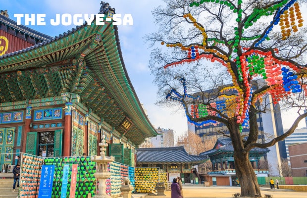 Tour Hàn Quốc Mùa Xuân 5N4Đ: Seoul – Nami – Everland – CV Hoa Anh Đào Yeouido