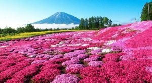 Đặt vé máy bay đi Hokkaido giá rẻ