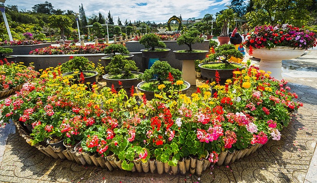 Du lịch Đà Lạt ngắm Vườn hoa khoe sắc - Du lịch 1 ngày Đà Lạt