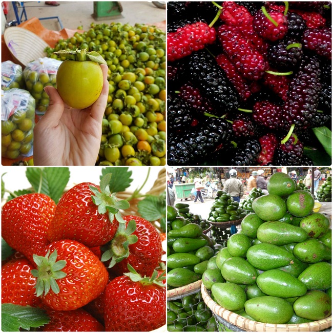 Hoa quả chợ Đà lạt - Chợ đà lạt có gì 