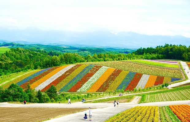 mùa hè Nhật Bản