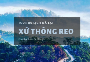 Tour du lịch Đà Nẵng – Đà Lạt 3 ngày 2 đêm | Đi trọn phố núi 4 mùa hoa