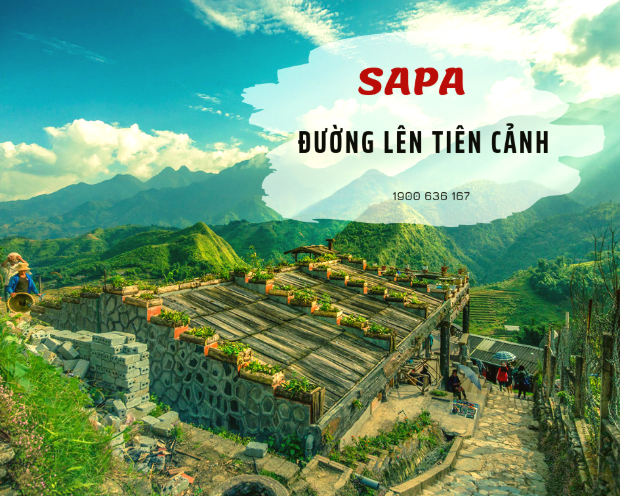 7 tour du lịch trong nước khởi hành từ hà nội