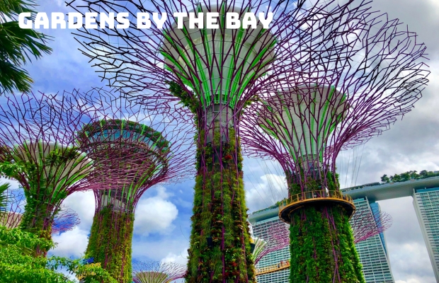 Tour du lịch Singapore Malaysia 5 ngày 4 đêm – Giá cực shock, ưu đãi hấp dẫn