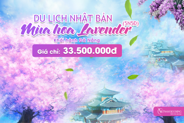 Tour Du Lịch Nhật Bản Từ Đà Nẵng: Lễ Hội Hoa Lavender – Mộng Mơ Sắc Tím Xứ Phù Tang