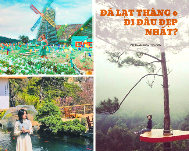 Đà Lạt tháng 6
