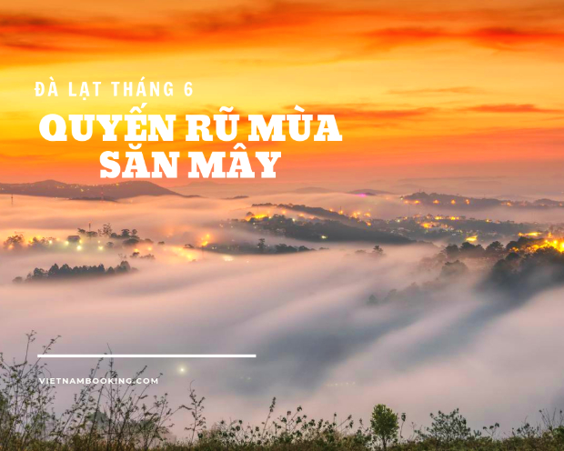 Đà Lạt tháng 6 - kinh nghiệm du lịch đà lạt tháng 6