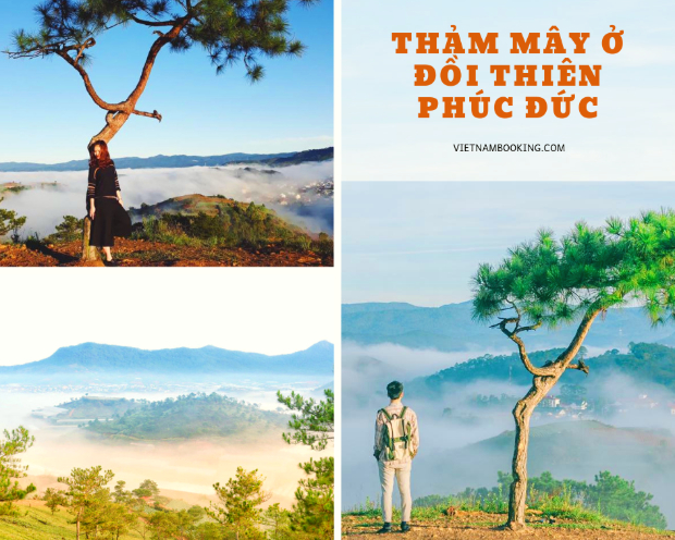 du lịch Đà Lạt vào tháng 6