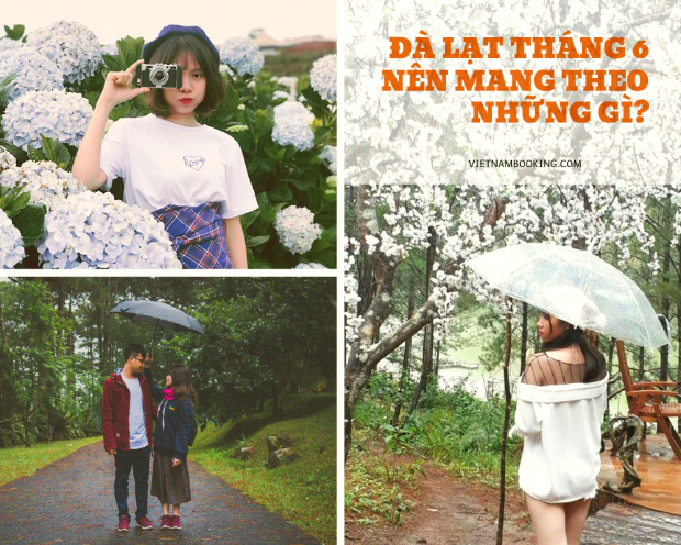 du lịch Đà Lạt vào tháng 6