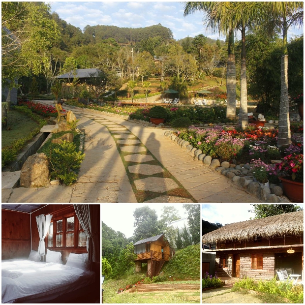 Đạ Lạch Noah Farm - gần gũi thiên nhiên