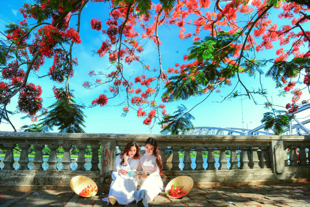 mùa phượng đỏ ở Huế