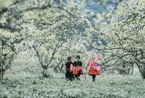 vé máy bay tết 2023