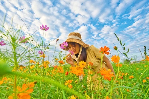 vé máy bay tết giá rẻ