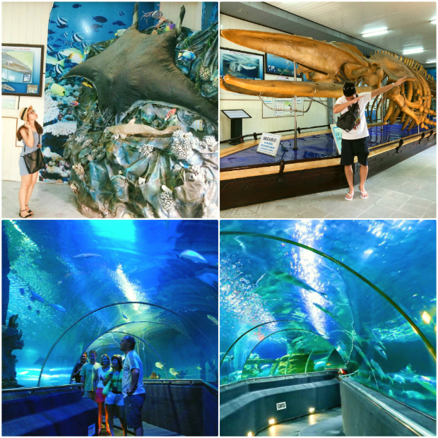 Viện Hải Dương học Nha Trang