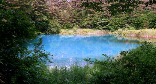 canh-dep-mua-thu-nhat-ban