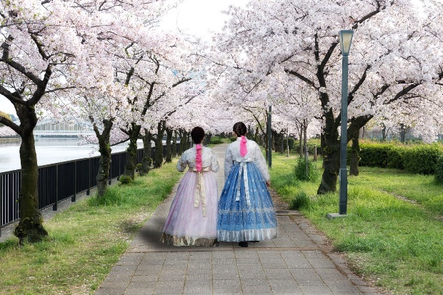 Hàn Quốc mùa xuân | Vé máy bay Tết 2020 đi Hàn Quốc giá rẻ