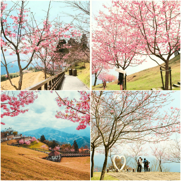 Cao nguyên Cingjing