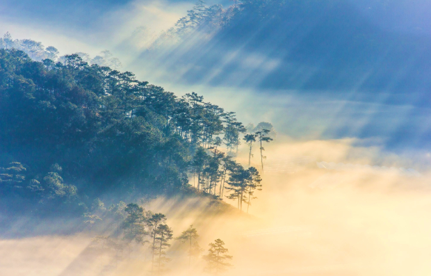 Bình minh Đà Lạt