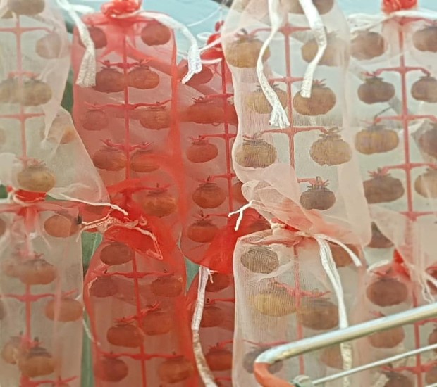 kinh nghiệm du lịch hàn quốc tháng 10