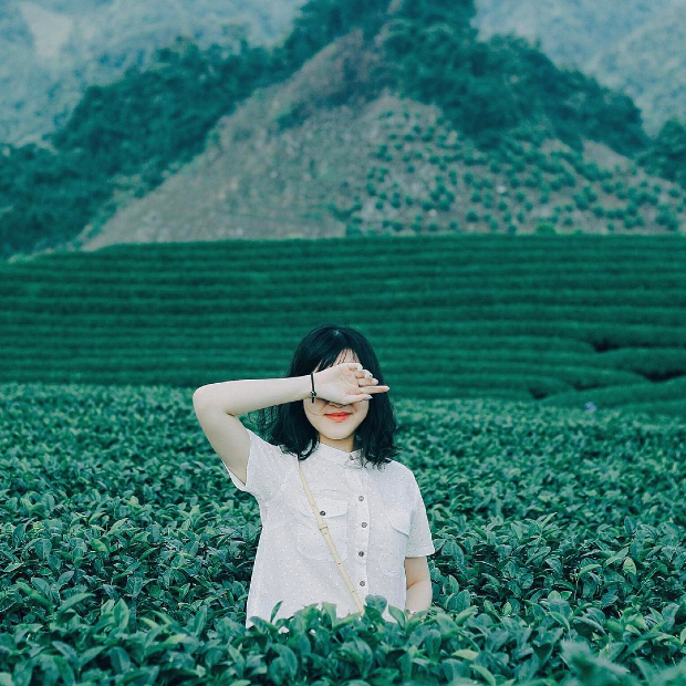 Du lịch Mộc Châu tháng 9