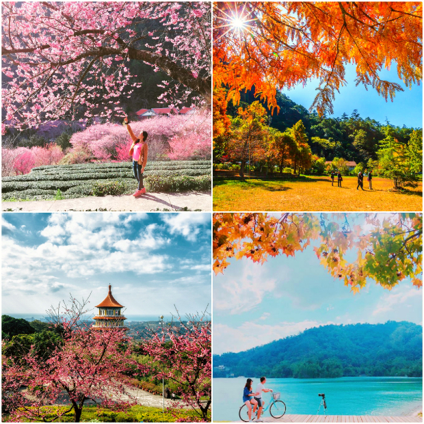 mùa nào du lịch Đài Loan đẹp nhất