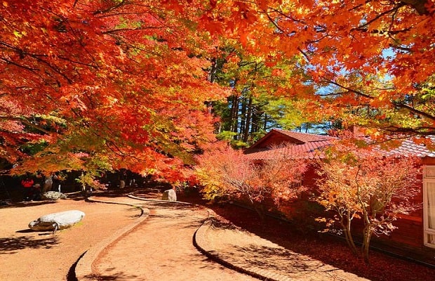 du lịch Đài Loan mùa thu - Xizhi Beaconsifield Hall 