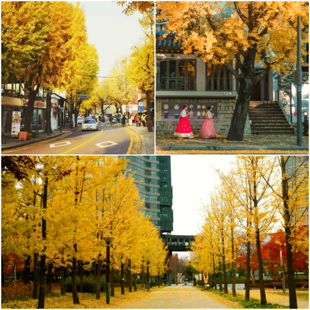 đường Samcheongdong