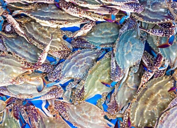 kinh nghiệm du lịch hàn quốc tháng 10