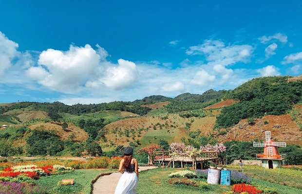 kinh nghiệm du lịch mộc châu - happy land mộc châu