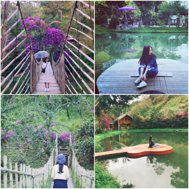 Ma Rừng Lữ Quán