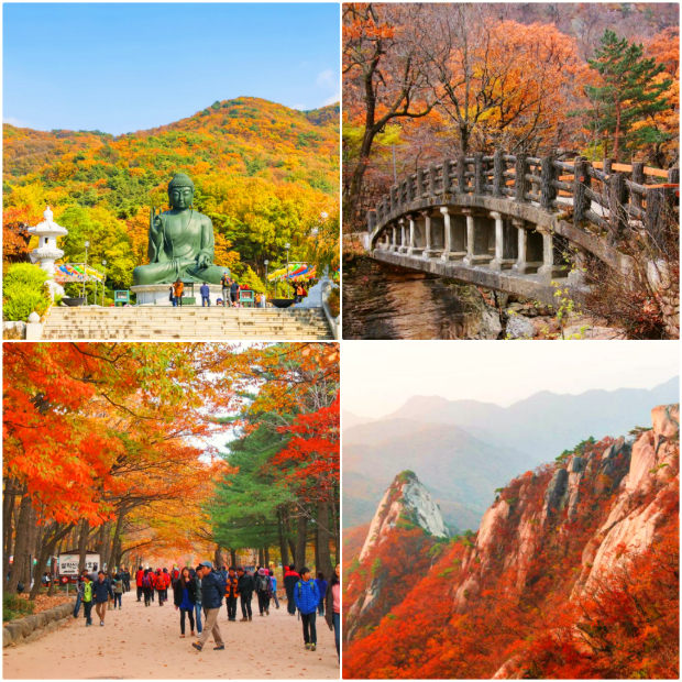 Núi Seoraksan mùa thu