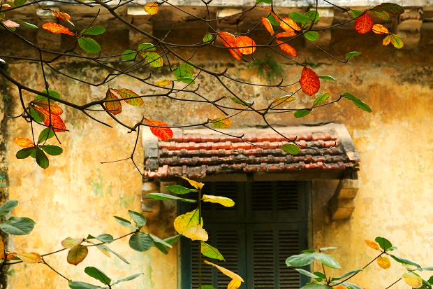 h&agrave; nội m&ugrave;a thu