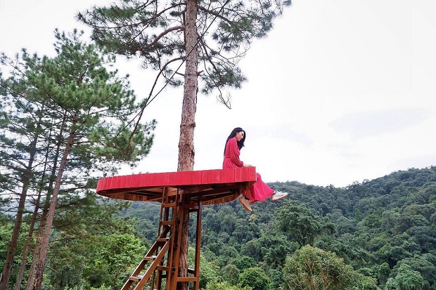 Du lịch Đ&agrave; Lạt th&aacute;ng 8