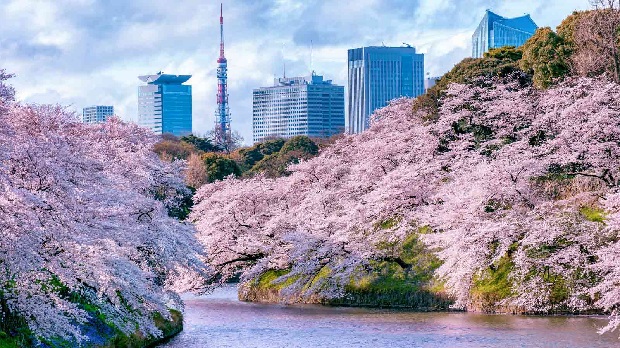 Gi&aacute; v&eacute; m&aacute;y bay Tết 2021 đi Tokyo mới nhất